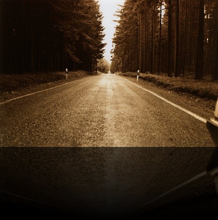 Road in forest 01